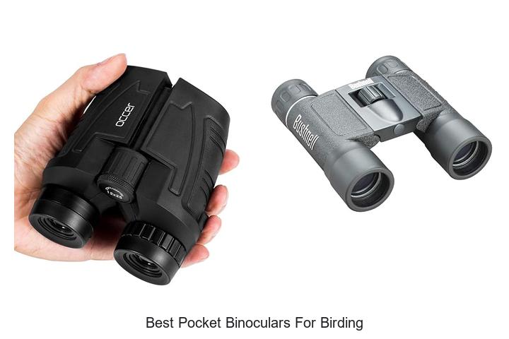 best pocket binoculars for birding