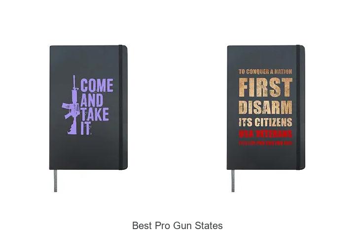 best pro gun states