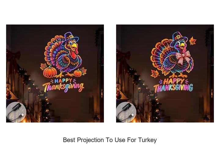best projection to use for turkey