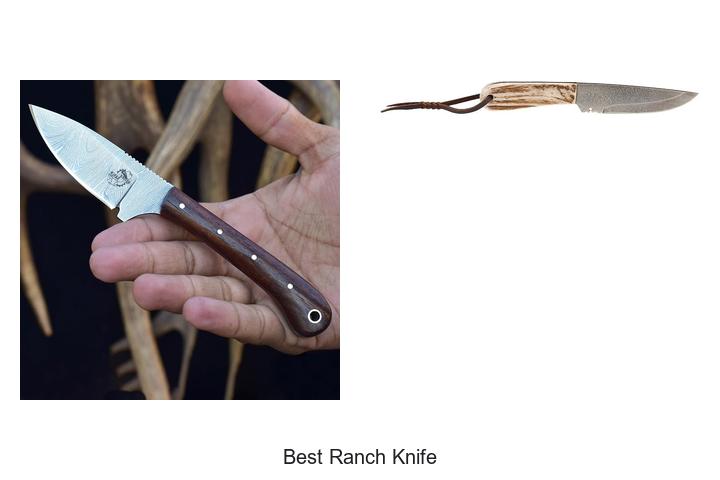 best ranch knife