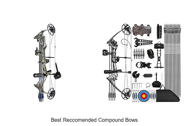 best reccomended compound bows