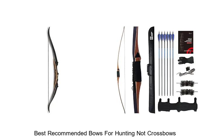best recommended bows for hunting not crossbows