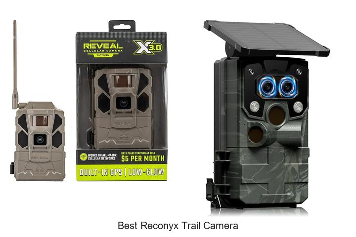 best reconyx trail camera