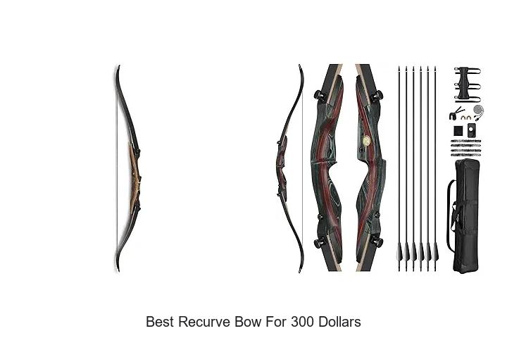 best recurve bow for 300 dollars