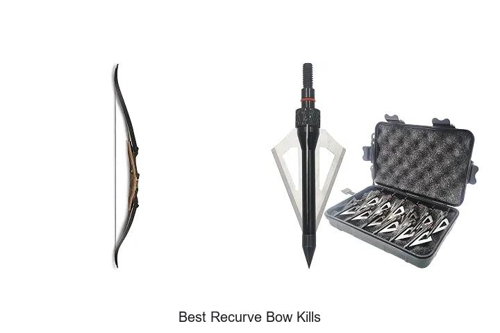 best recurve bow kills