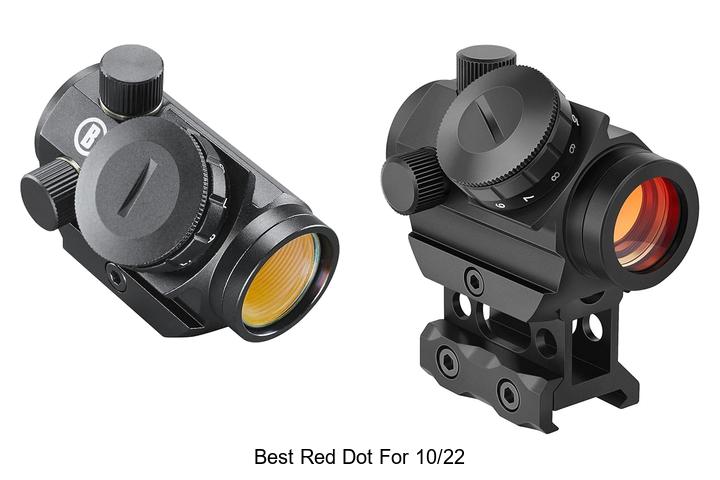 best red dot for 10 22