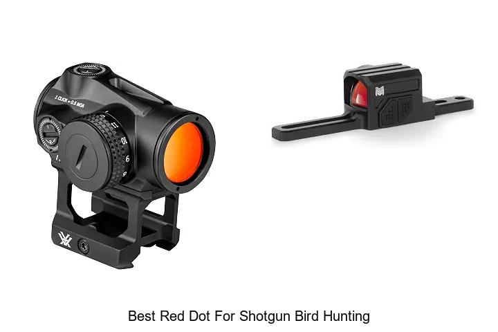 best red dot for shotgun bird hunting