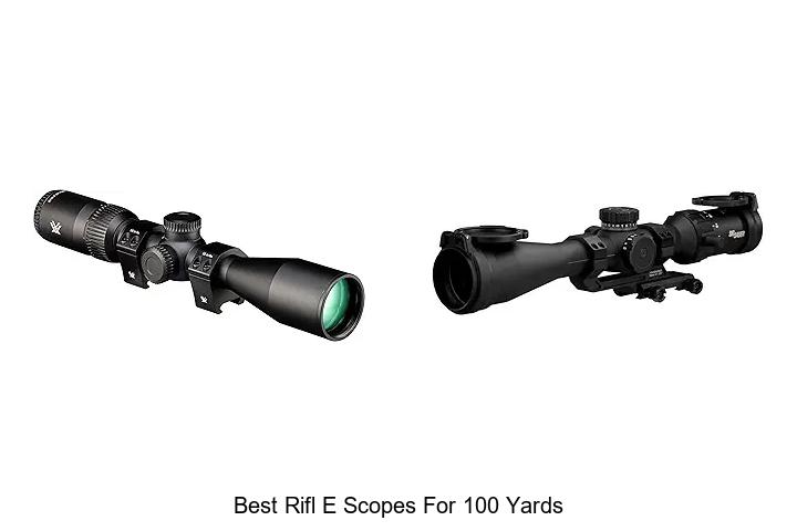 best rifl e scopes for 100 yards
