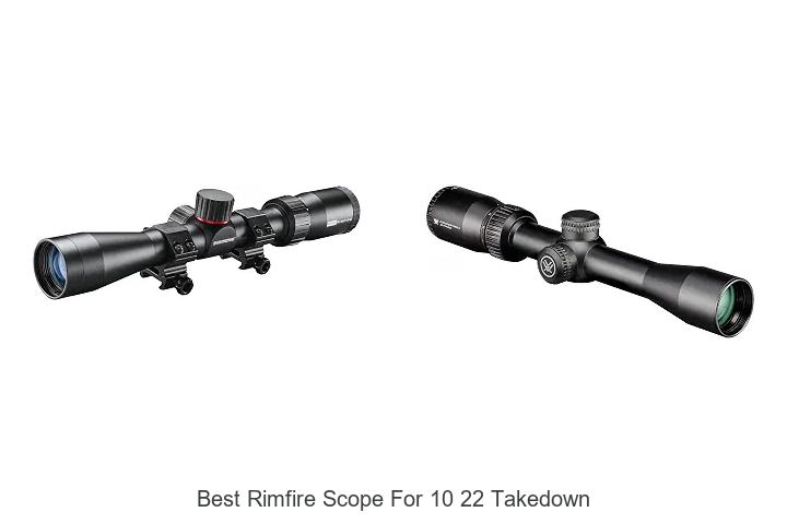 best rimfire scope for 10 22 takedown