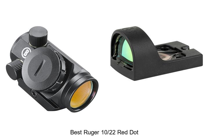 best ruger 10 22 red dot