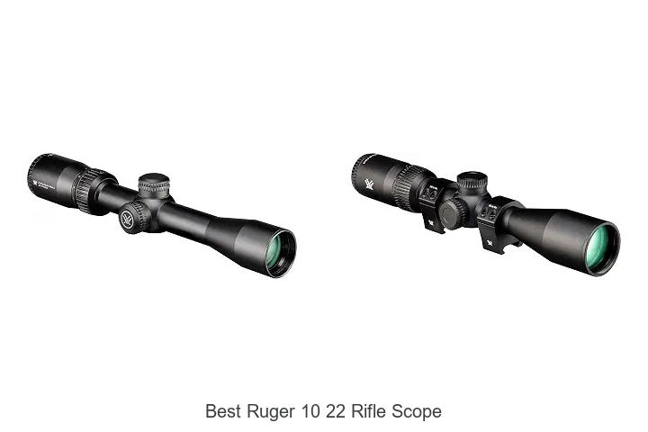 best ruger 10 22 rifle scope