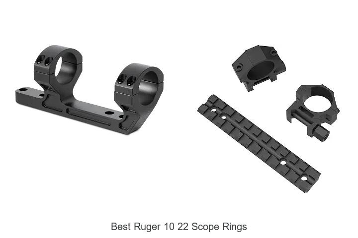 best ruger 10 22 scope rings