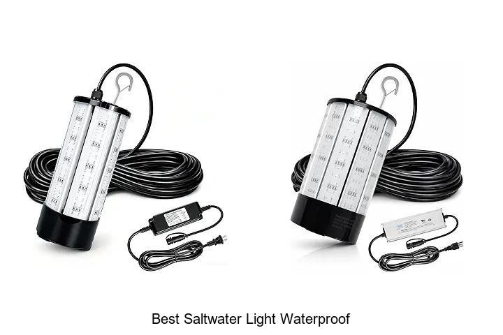 best saltwater light waterproof
