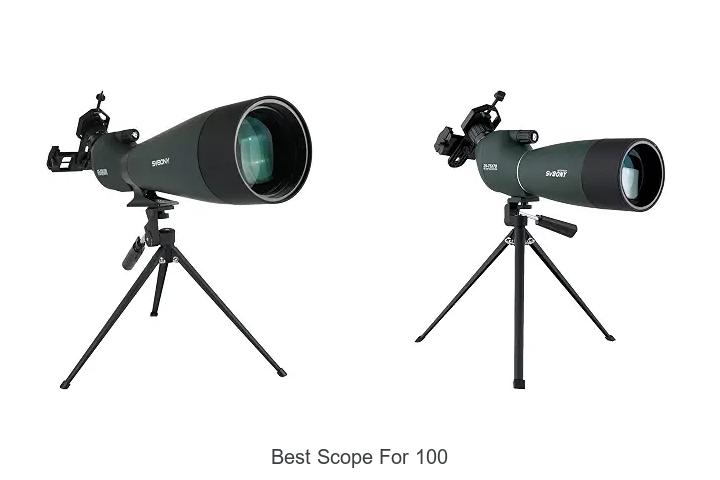 best scope for 100