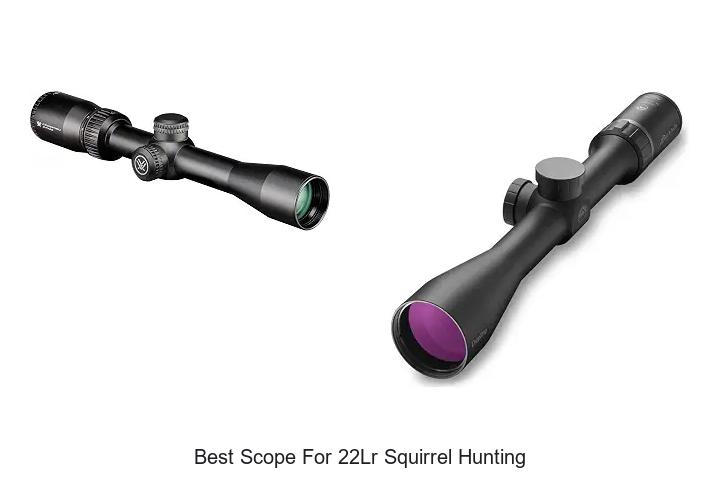 best scope for 22lr squirrel hunting