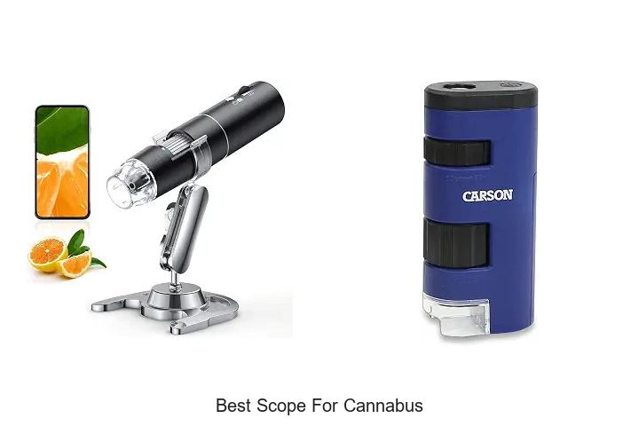 best scope for cannabus