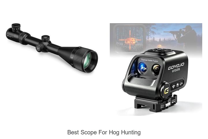 best scope for hog hunting