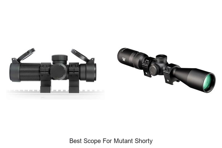 best scope for mutant shorty