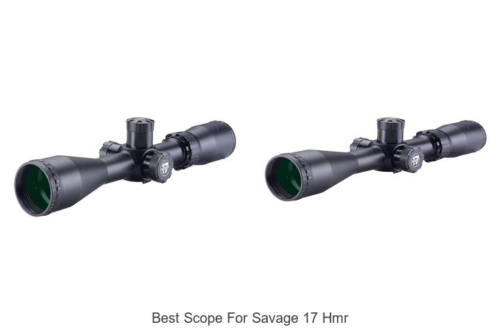 best scope for savage 17 hmr
