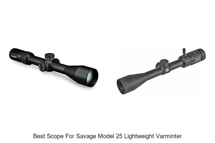best scope for savage model 25 lightweight varminter