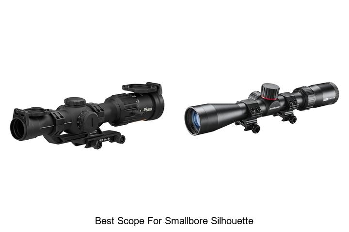 best scope for smallbore silhouette