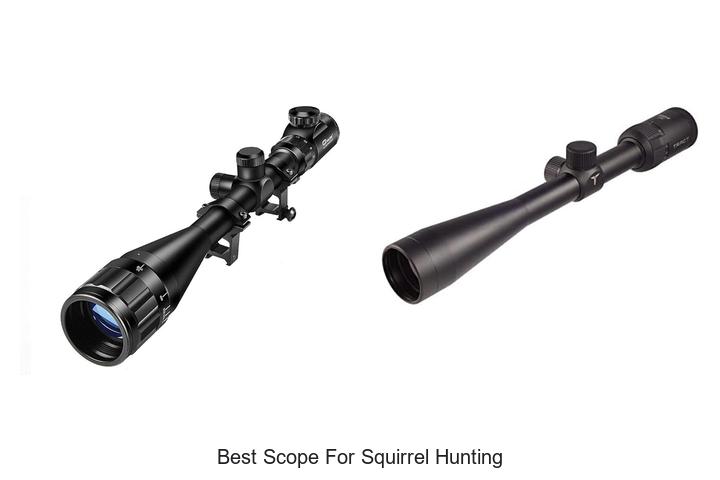 best scope for squirrel hunting
