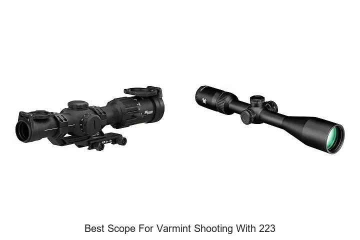 best scope for varmint shooting with 223