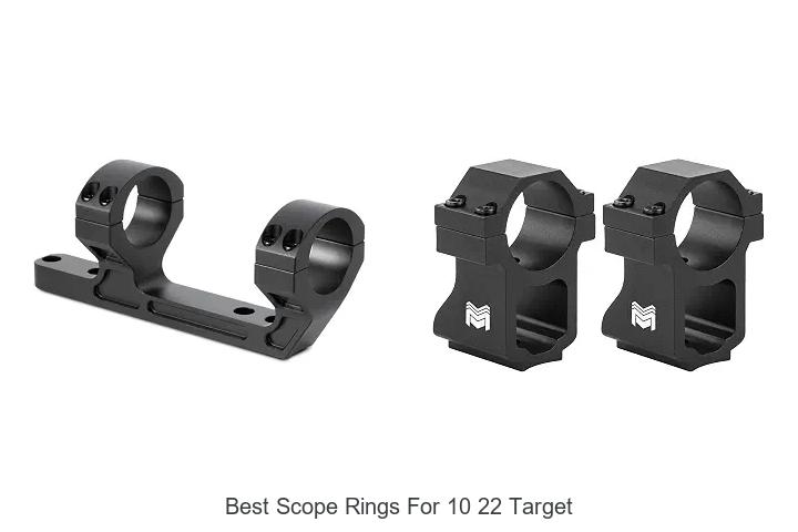 best scope rings for 10 22 target