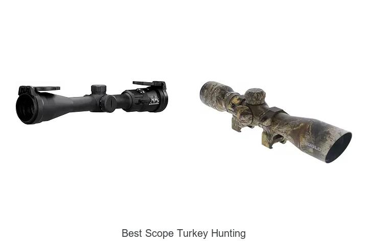 best scope turkey hunting