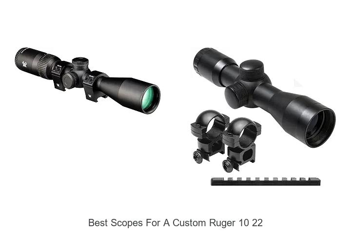 best scopes for a custom ruger 10 22
