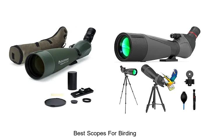 best scopes for birding