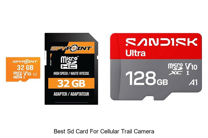 best sd card for cellular trail camera