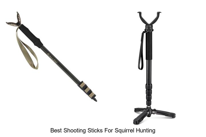 best shooting sticks for squirrel hunting