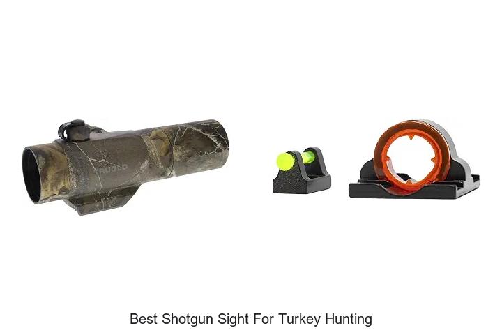 best shotgun sight for turkey hunting