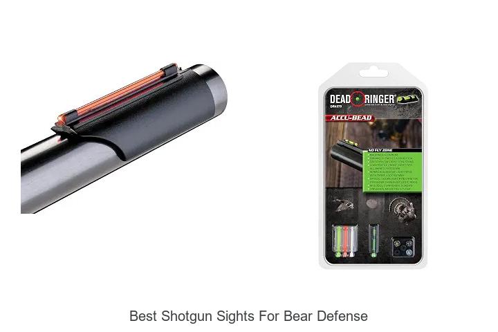 best shotgun sights for bear defense