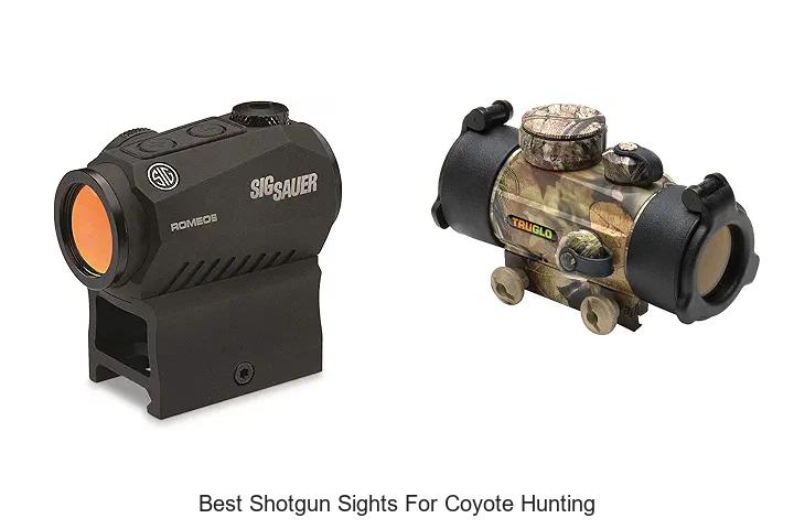 best shotgun sights for coyote hunting