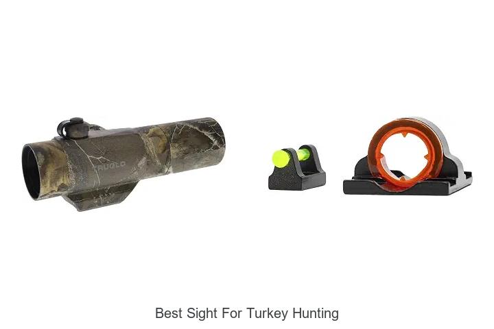best sight for turkey hunting