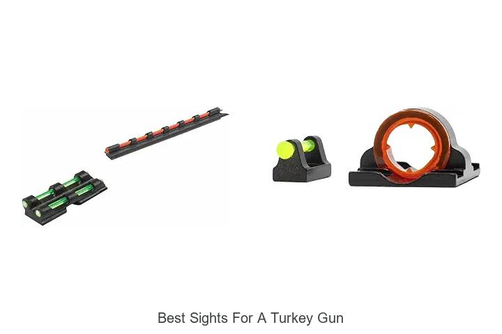 best sights for a turkey gun
