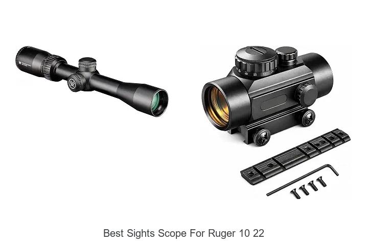 best sights scope for ruger 10 22