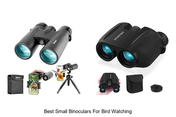 best small binoculars for bird watching