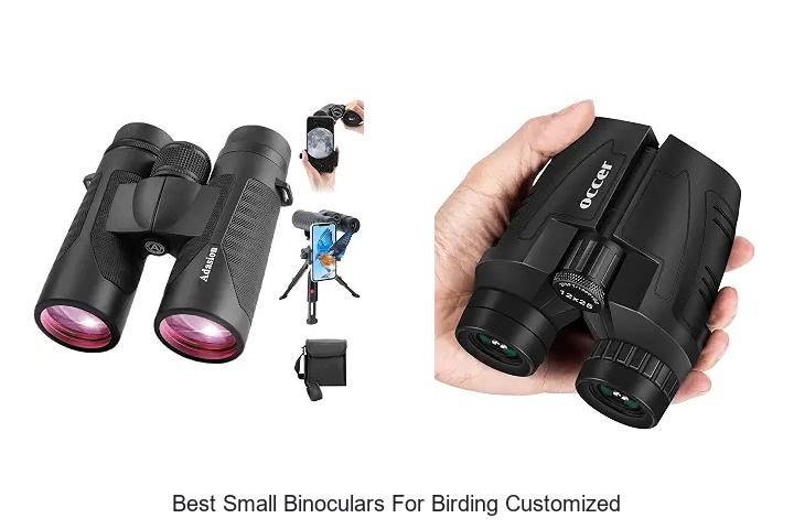 best small binoculars for birding customized