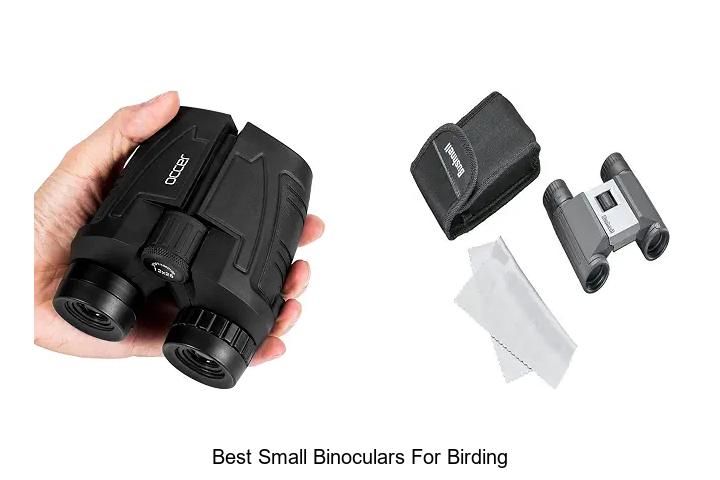 best small binoculars for birding