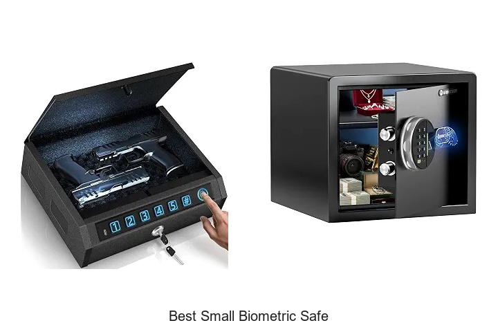 best small biometric safe
