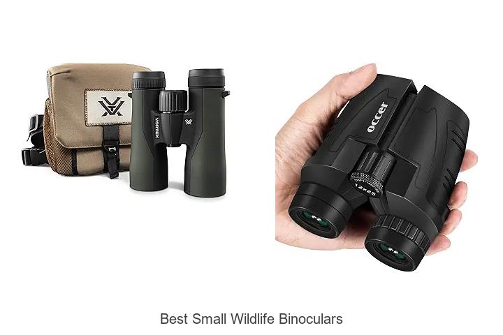 best small wildlife binoculars
