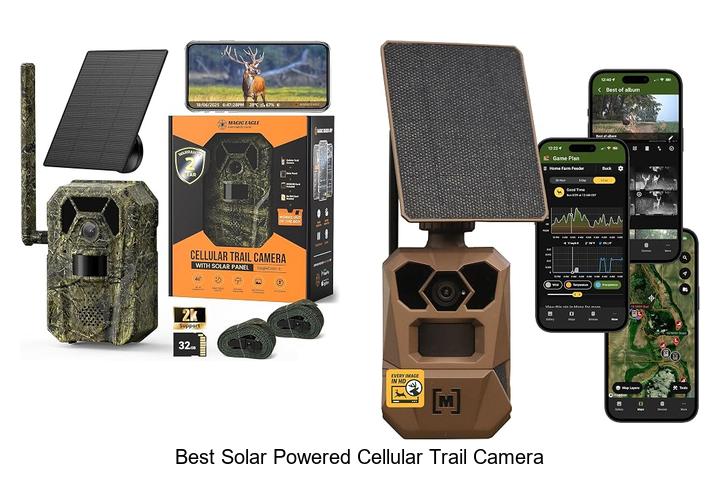 best solar powered cellular trail camera