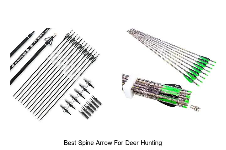 best spine arrow for deer hunting