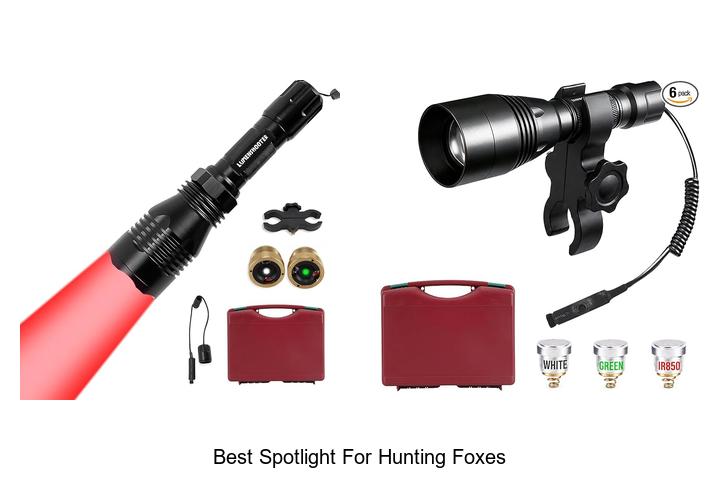 best spotlight for hunting foxes