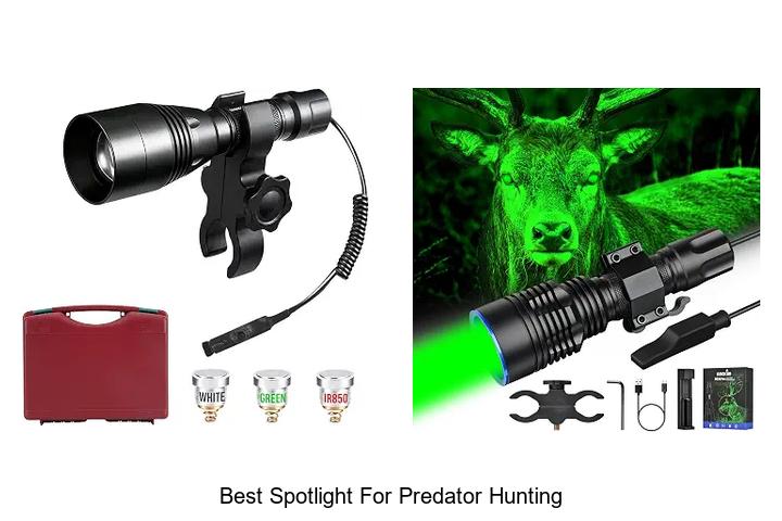 best spotlight for predator hunting