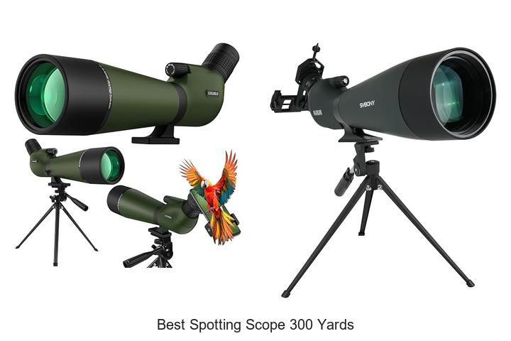 best spotting scope 300 yards