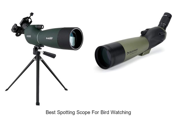 best spotting scope for bird watching